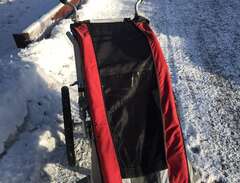 Thule Chariot Cougar 1