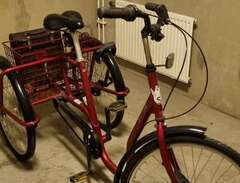 3 Hjulig vuxen cykel