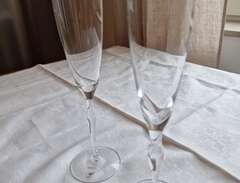 Orrefors Balans Champagne glas
