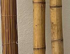 Bambujalusi och bambustolpar