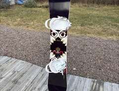 Firefly snowboard 142