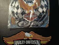 Harley Davidson Eagle