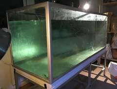 Komplett akvarium 540 liter...