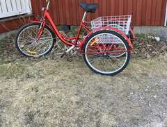 Trehjulig cykel (vuxen)