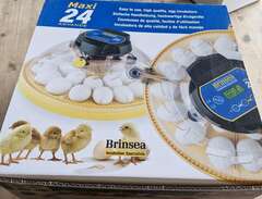 Äggkläckare Brisea Maxi 24.