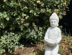 Buddah staty
