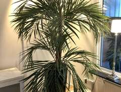 Stor konstgjord palm Living...