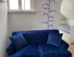 blå sammets soffa