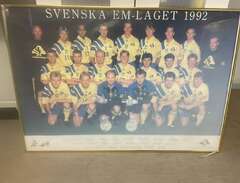 Lagbild Sverige EM-1992