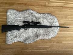 Winchester super shadow 3006a