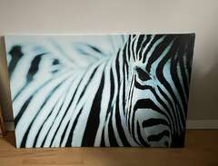 Zebra tavla 120x80