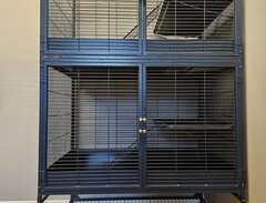 Råttbur med tvåvåningsplan