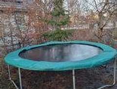 Studsmatta trampolinspecial...