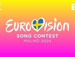 Eurovision Song Contest Jur...
