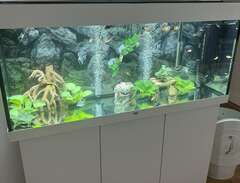 Juwel 240 liters akvarium,...