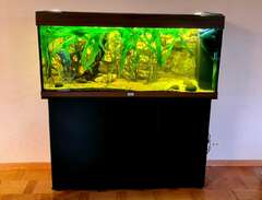 Akvarie Juwel Rio 240 liter...