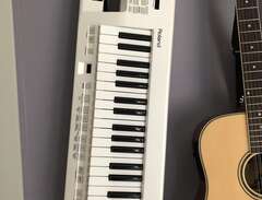 Roland Lucina AX-09 (keytar)