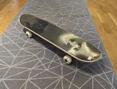 WARP Skateboard