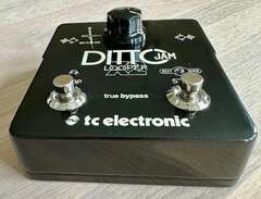 TC Electronics Ditto Jam Lo...