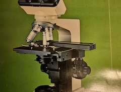 Mikroskop Nikon SC