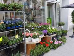 Blomsterbutik i Solna
