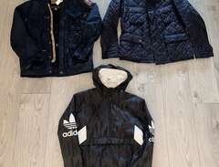 Parajumpers, Adidas, Barbour