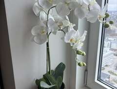 Orkidé i tyg med kruka