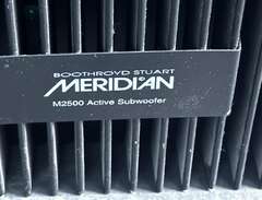 Meridian subwoofer