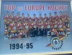 Luleå hockey 94-95 med auto...