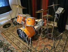 Trumset Mapex Moon