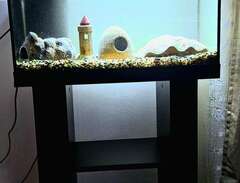 akvarium med bänk / ingen fisk