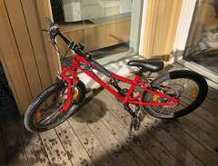 Specialized Hot Rock 20”
