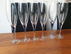 6 st champagneglas Intermez...