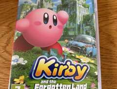 Kirby Forgotten land
