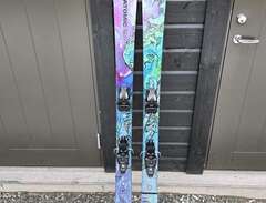 alpin skidor
