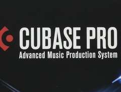 cubase 12 Pro