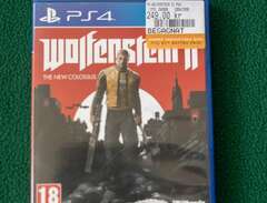 Wolfenstein II The New Colo...