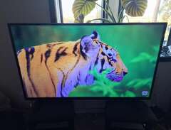 Luxor 55" Smart LCD TV Full...