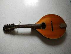 Levin mandolin, modell 43,