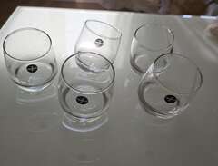glas från sagaform