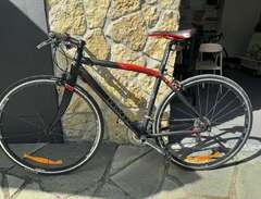 Racer cykel Dam - Triestina...