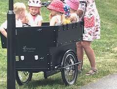 Cargobike Kindergarden Elec...