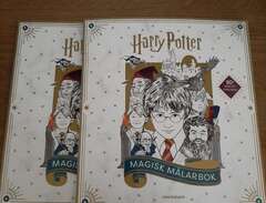 Harry Potter målarböcker 2st