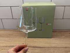 Ittala vin & champangeglas set