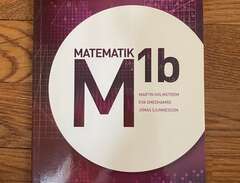 Matematik 1b