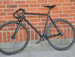 One of a kind singlespeed c...