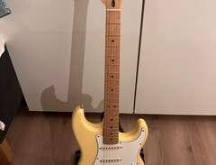 Stratocaster MiM 2019