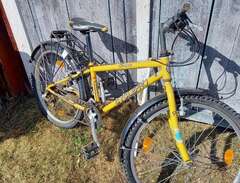 cyclepro barncykel