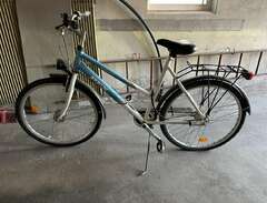 Fin Rex cykel