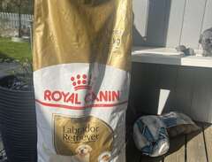 10kg hundfoder Royal Canin...